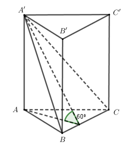 Hình đáp án 1. Cho lăng trụ đứng $\large ABC.A'B'C'$ có $\large AA'=3$. Tam giác $\la