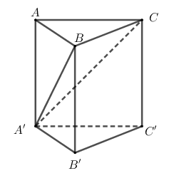 Hình đáp án 1. Cho lăng trụ đứng $\large ABC.A'B'C'$ có thể tích bằng $\large 12\sqrt