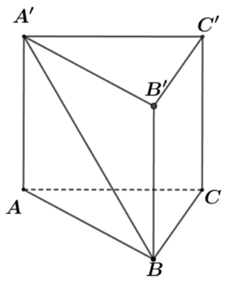 Hình đáp án 1. Cho lăng trụ đứng $\Large ABC.A'B'C'$, đáy là tam giác $\Large ABC$ vu