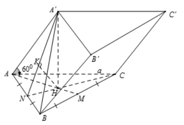 Hình đáp án 1. Cho lăng trụ $\large ABC.A'B'C'$ có đáy là tam giác đều cạnh $\large a