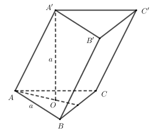 Hình đáp án 1. Cho lăng trụ $\large ABC.A'B'C'$ có đáy $\large ABC$ là tam giác đều c