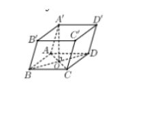 Hình đáp án 1. Cho lăng trụ $\large ABCD.A'B'C'D'$ có đáy $\large ABCD$ là hình chữ n