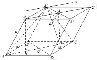 Hình đáp án 1. Cho lăng trụ $\large ABCD.A'B'C'D'$ có $\large A'.ABD$ là hình chóp đề