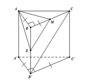Hình đáp án 1. Cho lăng trụ tam giác ABC.A’B’C’ có đáy là một tam giác vuông cân tại 