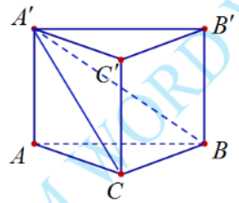 Hình đáp án 1. Cho lăng trụ tam giác đều $\Large ABC.{A}'{B}'{C}'$ có diện tích đáy b