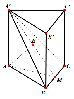 Hình đáp án 1. Cho lăng trụ tam giác đều $\large ABC.A'B'C'$ có độ dài cạnh đáy bằng 