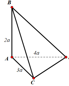 Hình đáp án 1. Cho tứ diện ABCD có AB, AC, AD đôi một vuông góc và $\Large A B=2 a, A