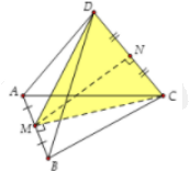 Hình đáp án 1. Cho tứ diện đều $\large ABCD$. Số đo góc giữa hai đường thẳng $\large 