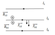 Hình đáp án 1. Có ba dòng điện thẳng song song $\Large I _{1}, I _{2}$ và $\Large I_3