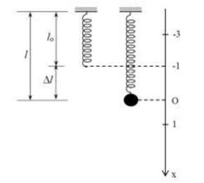 Hình đáp án 1. Con lắc lò xo treo thẳng đứng gồm lò xo có độ cứng k = 100 N/m, vật nh