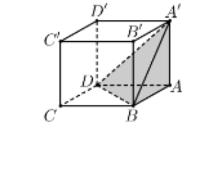 Hình đáp án 1. Gọi $\large V$ là thể tích của khối lập phương $\large ABCD.A'B'C'D'$,