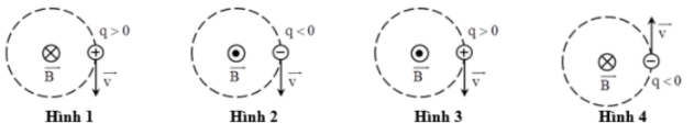Hình minh họa Hình nào dưới đây kí hiệu đúng với hướng của từ trường đều tác dụng lự