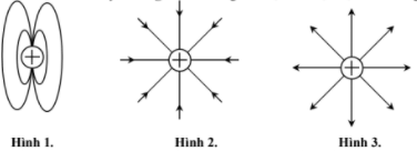 Hình minh họa Hình vẽ nào sau đây là đúng khi vẽ đường sức điện của một điện tích dư