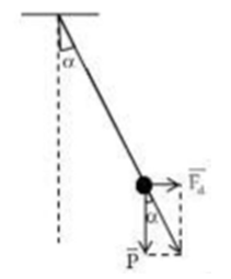 Hình đáp án 1. Một con lắc đơn, vật treo có khối lượng m = 1 g, được tích điện $\Larg