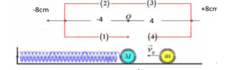 Hình đáp án 1. Một con lắc lò xo, lò xo có độ cứng $\Large k = 50N/ m,$ vật nặng có k