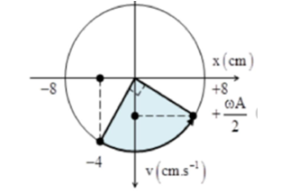 Hình đáp án 1. Một con lắc lò xo thẳng đứng gồm lò xo nhẹ có độ cứng $\Large k=25N/m,