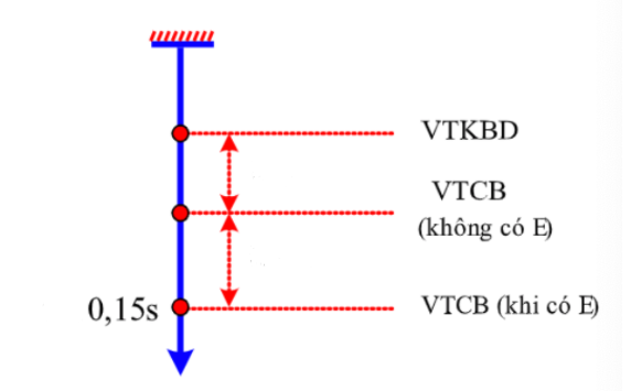 Hình đáp án 1. Một con lắc lò xo treo thẳng đứng dao động điều hoà với m = 200 g, k =