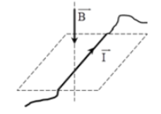 Hình minh họa Một đoạn dây dẫn có dòng điện I nằm ngang đặt trong từ trường có đường