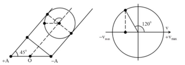 Hình đáp án 1. Một đu quay có bán kính $\large R=12\sqrt{2}m$ lồng bằng kính trong su