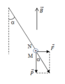 Hình đáp án 1. Thanh dây dẫn thẳng MN có chiều dài l = 20 cm, khốí lượng m = 10 g, đư