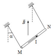 Hình minh họa Thanh dây dẫn thẳng MN có chiều dài l = 20 cm, khốí lượng m = 10 g, đư