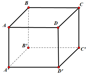 Hình đáp án 1. Thể tích của khối hộp chữ nhật ABCD.A'B'C'D' có $\large AB= 3,\, AD=4,