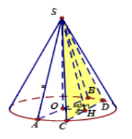 Hình đáp án 1. Thiết diện qua trục của một hình nón là một tam giác vuông cân có cạnh
