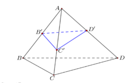 Hình đáp án 1. Trong không gian với hệ trục tọa độ $\Large Oxyz$, cho tứ diện $\Large