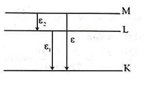 Hình đáp án 1. Trong quang phổ vạch của Hidro (quang phổ của Hidro), bước sóng của vạ