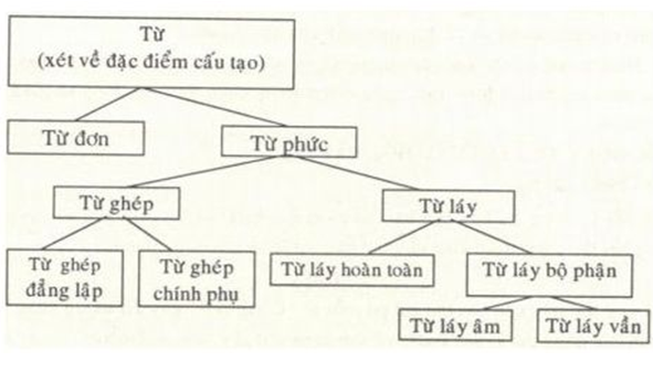 Hình minh họa Từ và cấu tạo của từ tiếng Việt
