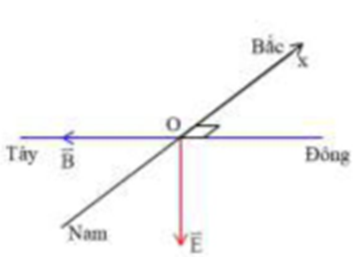 Hình đáp án 1. Véctơ cường độ điện trường của sóng điện từ ở tại điểm M có hướng thẳn